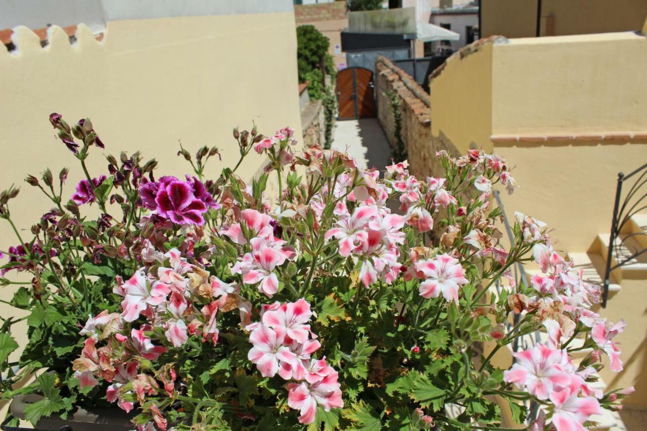 Ogliastra Luxury Apartment - Ajpsardinia Tortoli Exterior photo